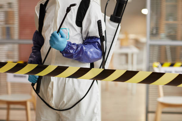 Professional Sewage Cleanup technician working in Navarre, OH